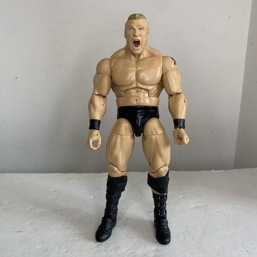 Wwe brock lesnar wrestling - brock,