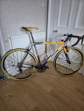 Terry Dolan Cougar Road Frame