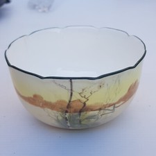 Royal Doulton Series Ware bowl