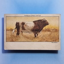 Hassall Postcard 1910 Lemco