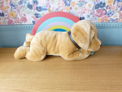 Keel toys monty golden - toys,
