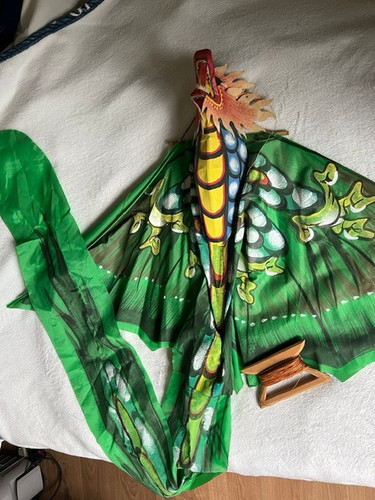 Large balinese dragon kite - large,