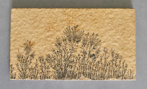 Dendritic mineral crystals