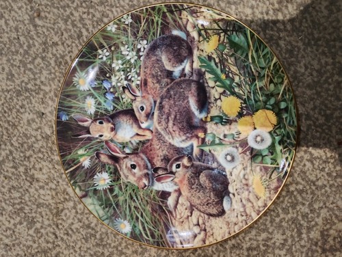 Royal doulton collector rabbit - royal,