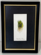 Hand PaintedCosta Rica Feather