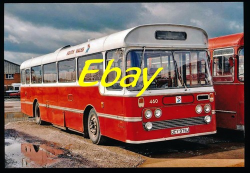Bus photo aec reliance south - bus,