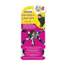 Ancol Ferret Harness & Lead -