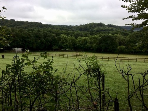 Photo 6x4 pasture land - 6x4,