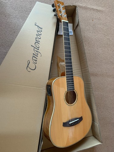 Guitar and gig bag - and,