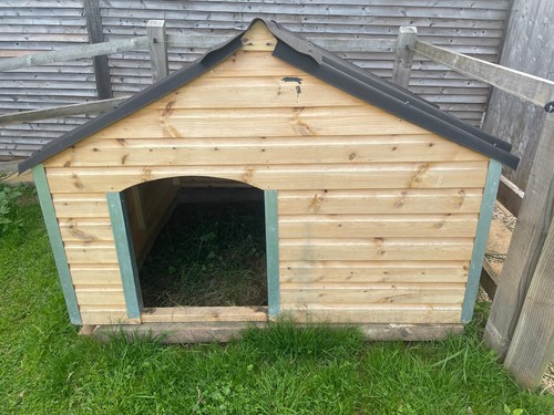 6ft pig goat sheep - goat,
