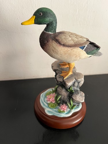Mallard border - (,