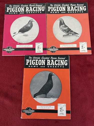 Vintage pigeon racing news - vintage,