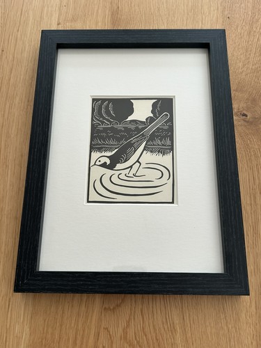 Pied wagtail framed - ‘pied,