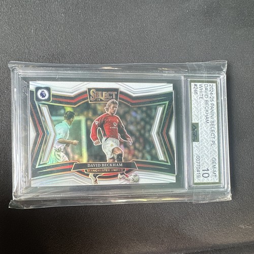 Panini 2024 select field - 2024-25, pl