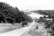 Pzz-78 Pony & Trap White Leaf