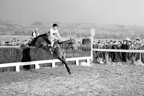 Arkle pat taaffe - arkle,