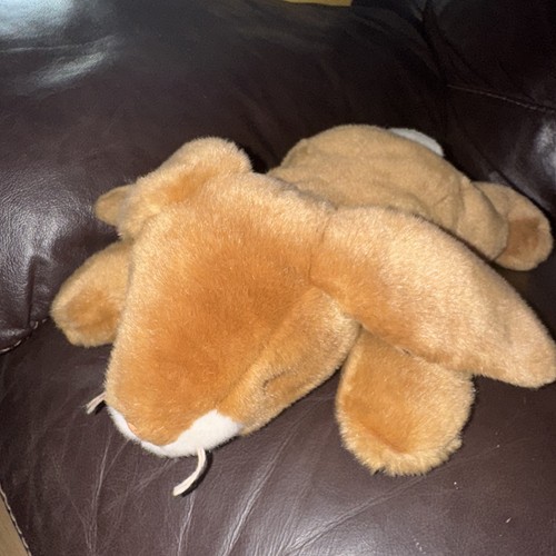 Beanie buddies ears the - ty,