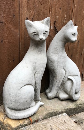 Pair siamese cats left and - pair,