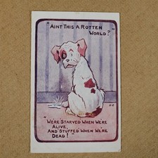 Vintage Postcard Comic, Rotten