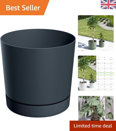 Plant pots indoor outdoor - plant,