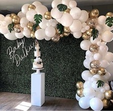 Balloon Arch Kit +Balloons