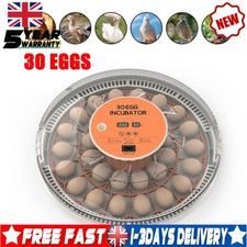 12/30,-Eggs,Fully Automatic