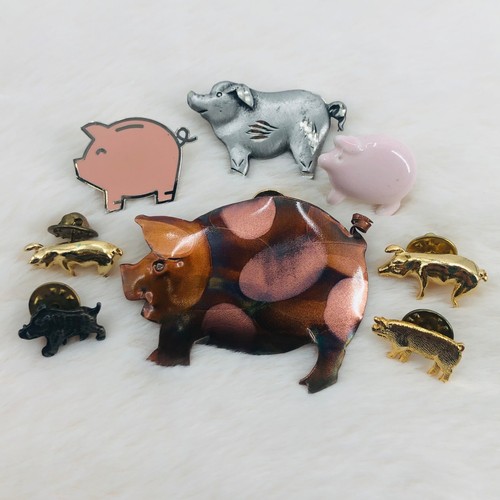 Pot belly pig farm - pot,