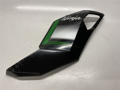 2021 kawasaki z1000 right - kawasaki,