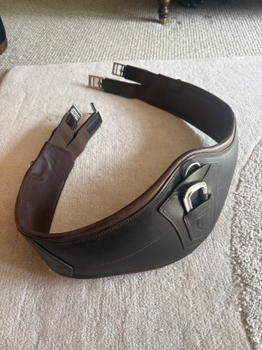 Winderen brown jumping - winderen, girth