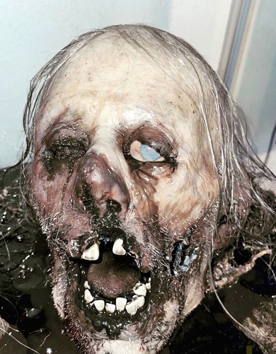 Haunted severed head - haunted,