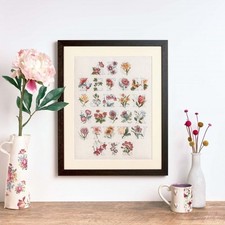 Anchor Counted Cross Stitch