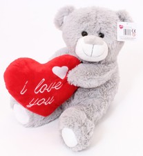 Valentines day teddy bear - valentines,