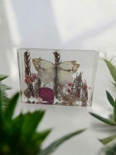 White Butterfly Resin