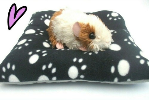 Cozy pets cushion - **cozy, pets**