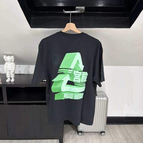 Palace science fantasy shirt - science,