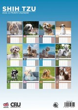 Shih Tzu Dog 2026 A3 Calendar