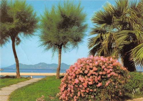 Bt5260 cannes ses - ses, et