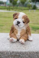 Sitting Sleeping Bulldog 2