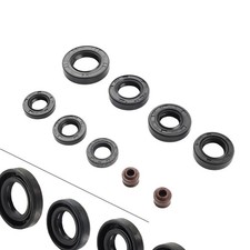 Complete Engine Oil Seal Kit