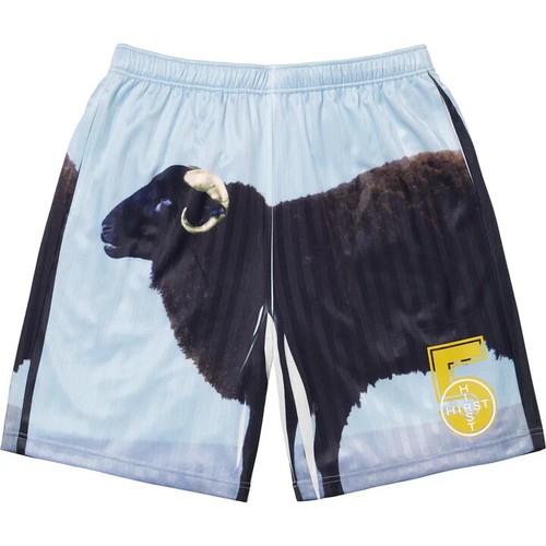 Supreme damien hirst soccer - damien,