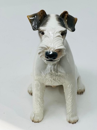 Nymphenburg porcelain wirehair - nymphenburg,