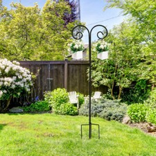 BingoPaw 2x Adjustable