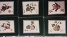 Set of 6 Large Pimpernel RHS