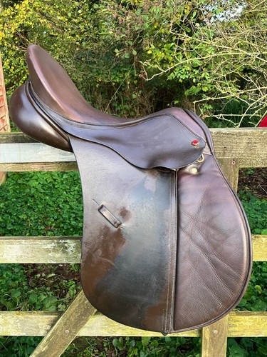 Inch albion brown gp - brown,