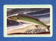 WOOLWORTHS Swap Playing Card