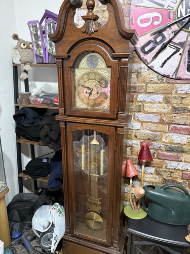 Tempus fugit grandfather clock - grandfather,
