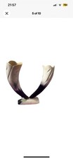 Vintage polished cow horn - vintage,