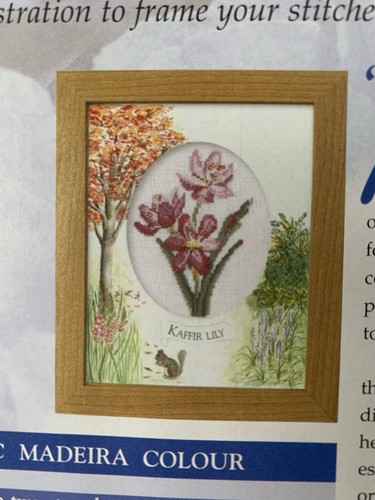Kaffir lily vintage cross - kaffir,