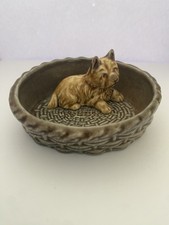 Wade england scottie - wade, dog