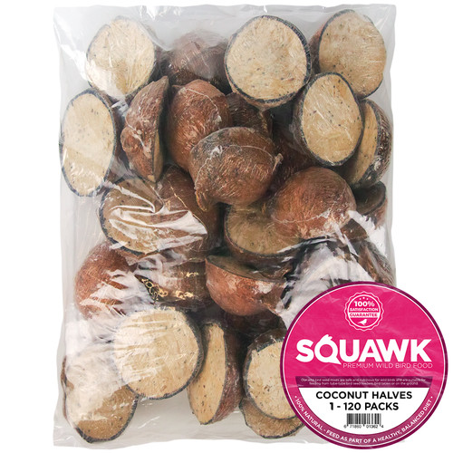 Squawk suet filled coconut - squawk,